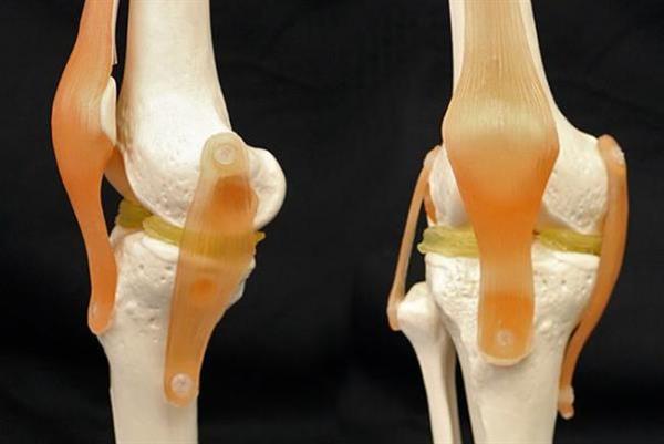 duke-university-3d-printed-cartilage-mimicking-hydrogels-could-repair-damaged-knees-1.jpg