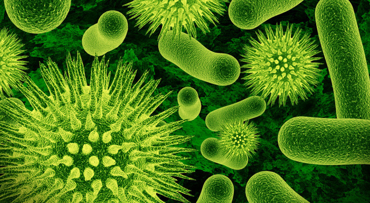 Hudson-River-Is-Teeming-with-Antibiotic-Resistant-Bacteria.jpg