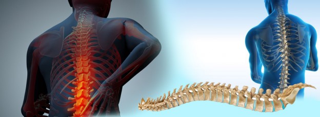 OrthoSpineBanner-copy-624x228.jpg