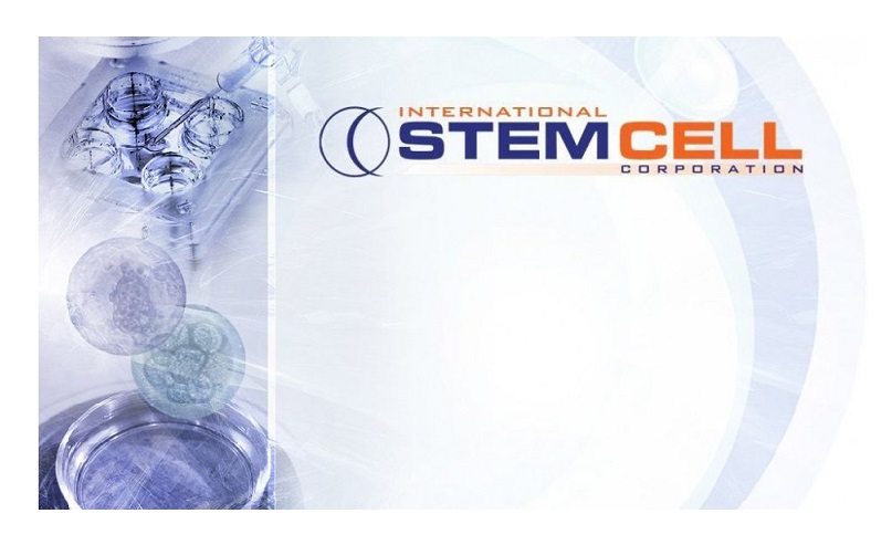 STEM-938x535-1.jpg